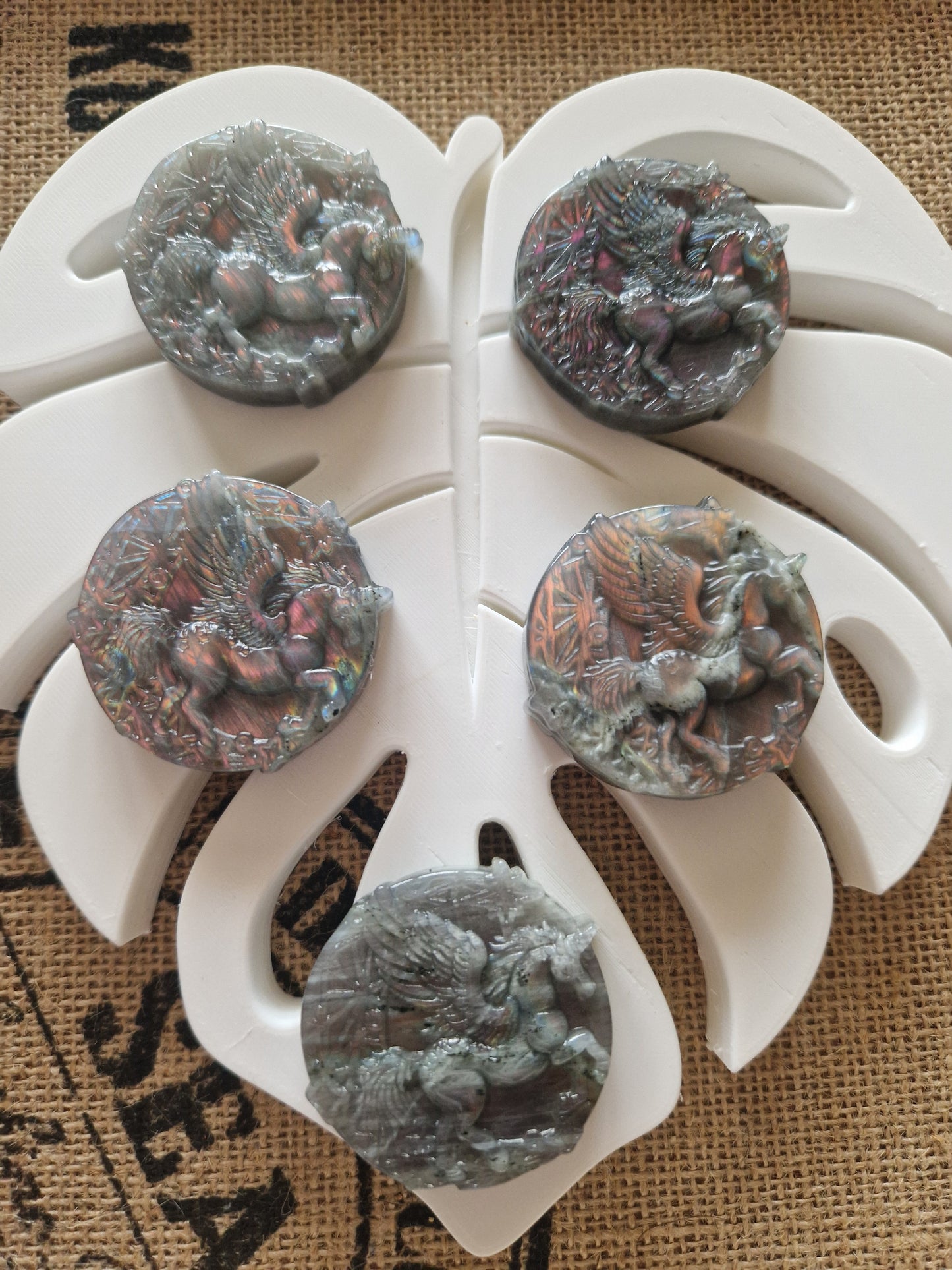 Pégase Labradorite