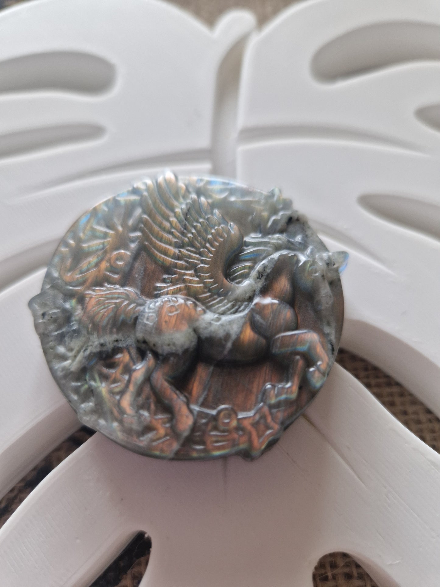Pégase Labradorite