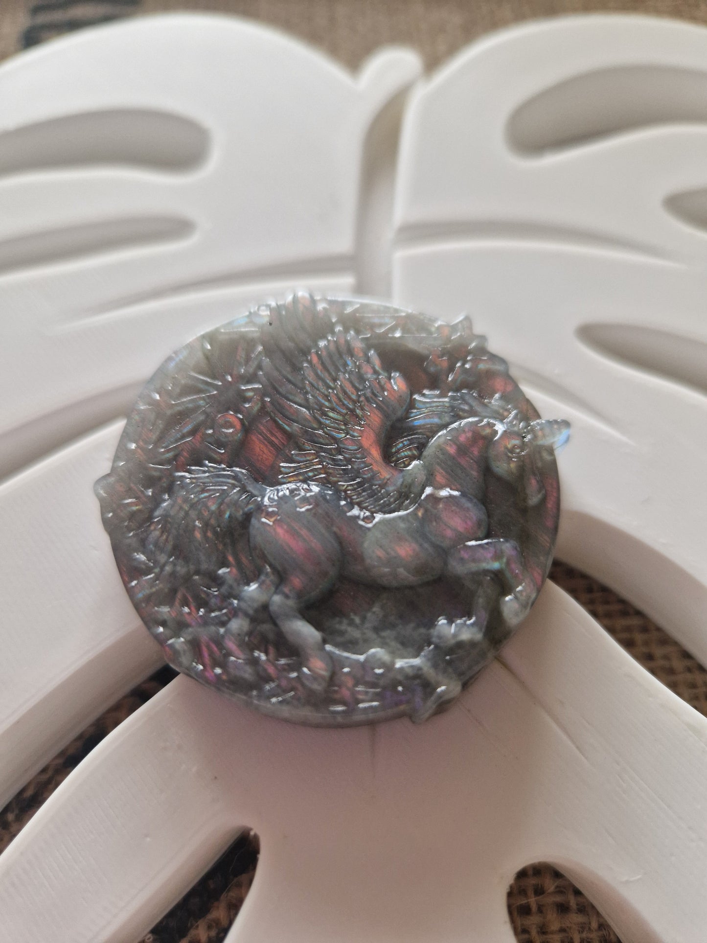 Pégase Labradorite