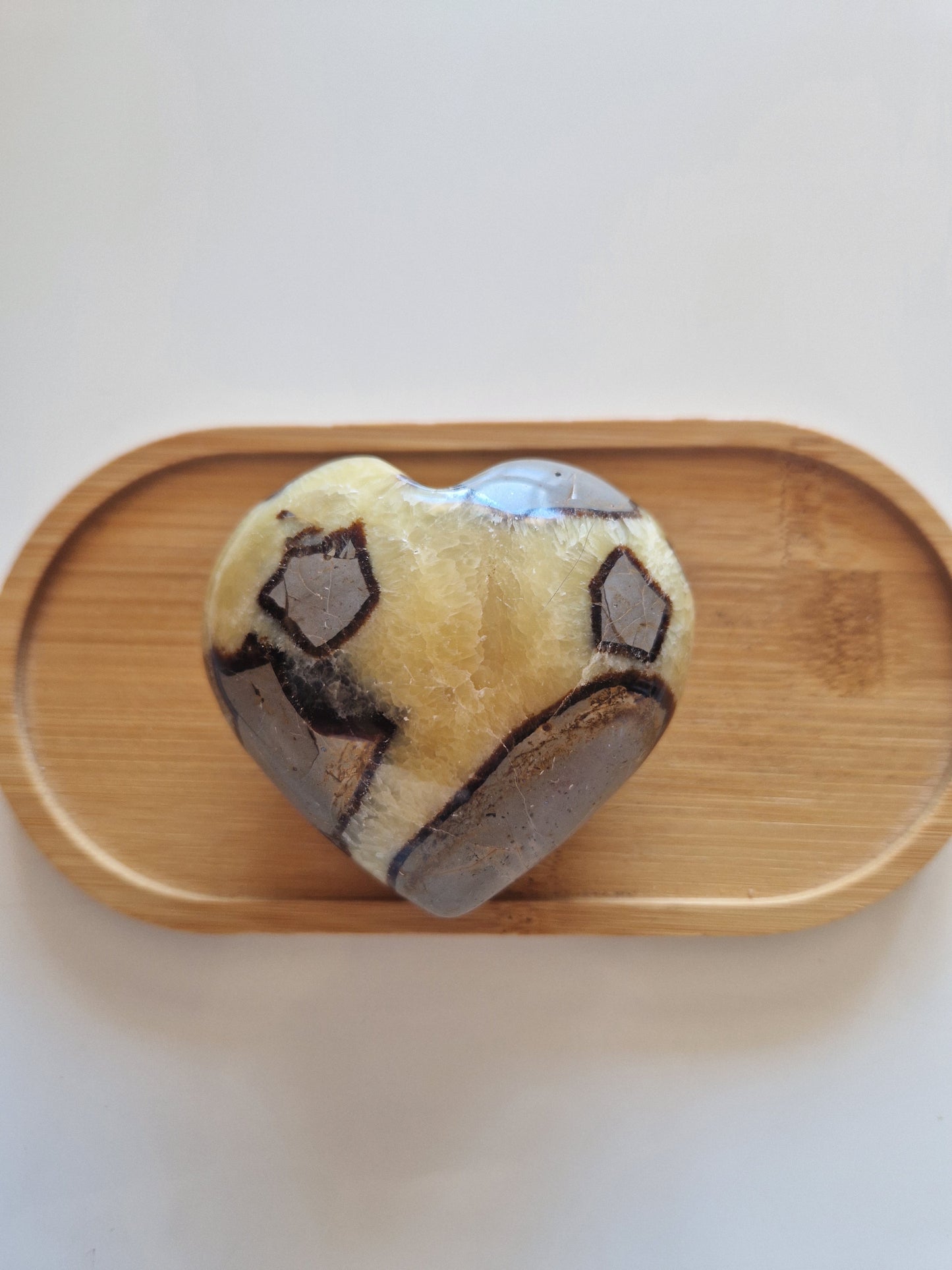 Coeur de Septaria