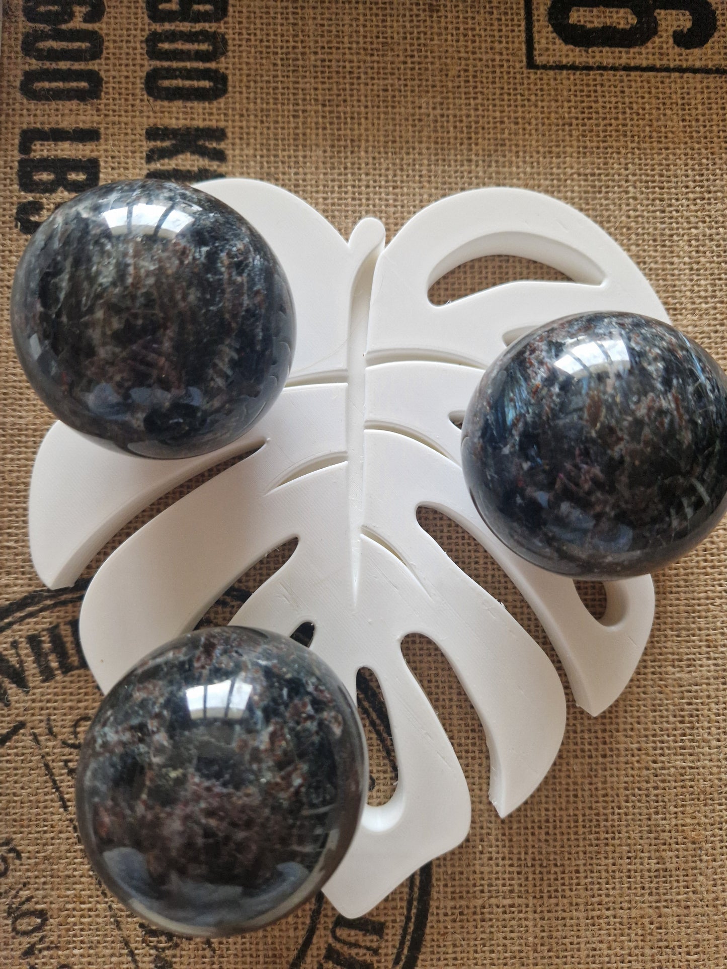 Astrophyllite