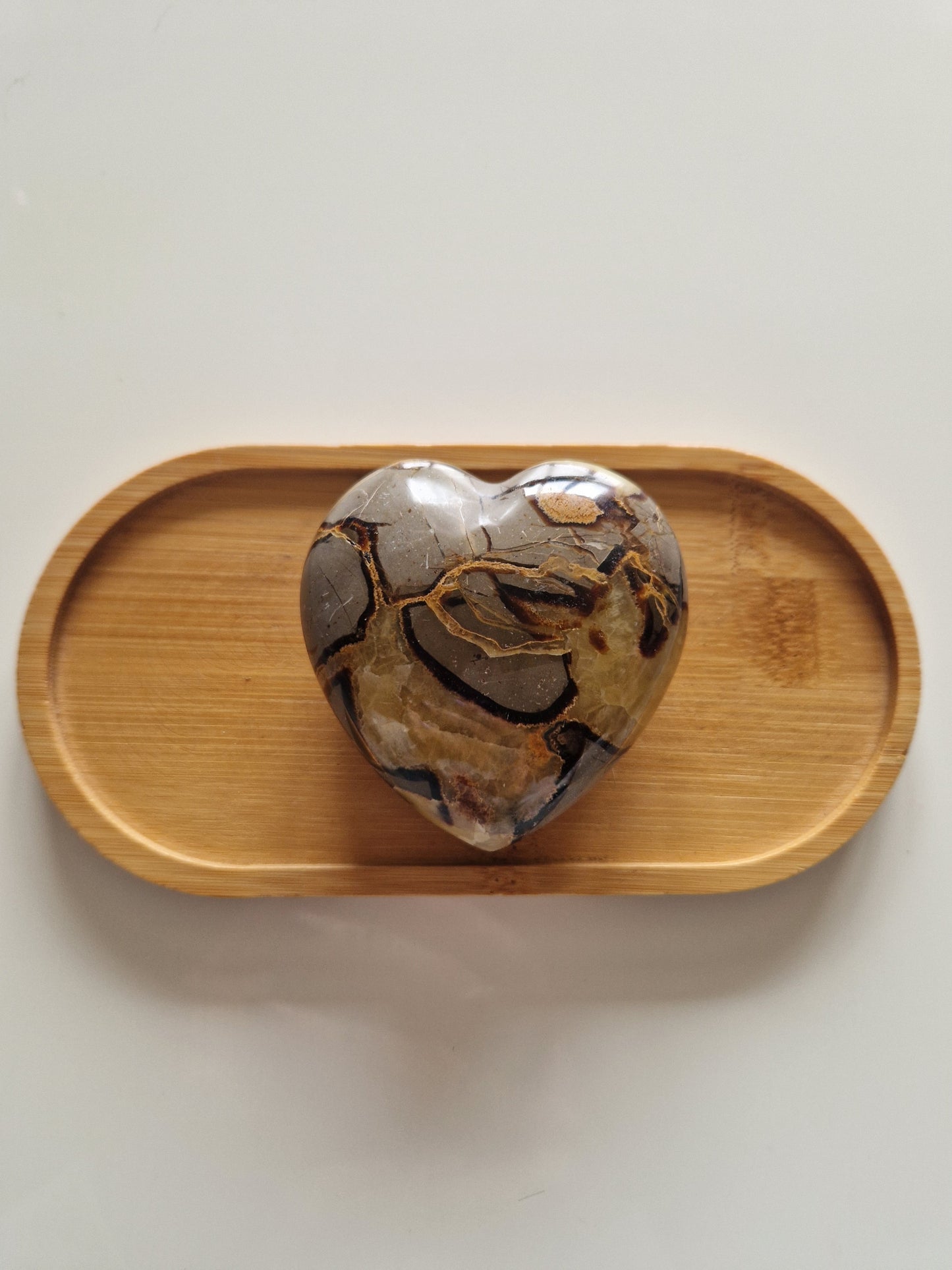 Coeur de Septaria